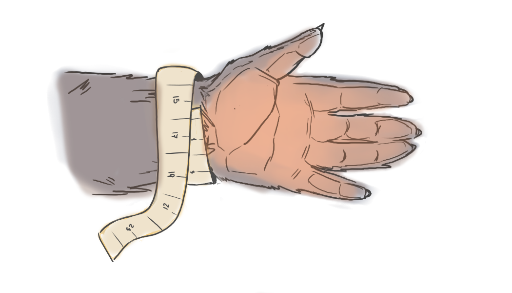 En este ejemplo la talla es M (17 cm)